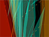 Starling (detail of lightbox)