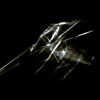 Still frame (detail)