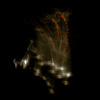 Still frame (detail)