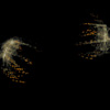 Still frame (detail)