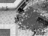 Pedestrian still