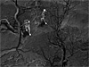 Pedestrian still
