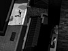 Pedestrian still
